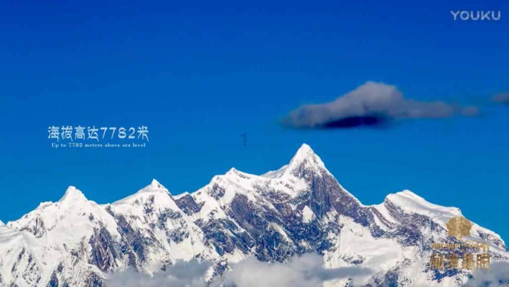 史上最贱小游戏之电动2